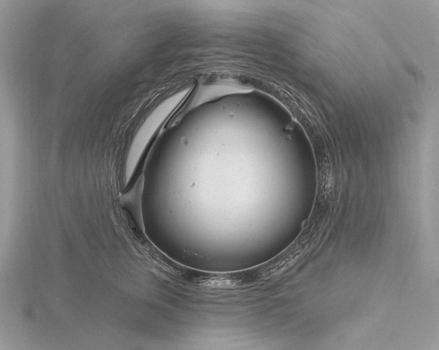 X0000116160759200912071324