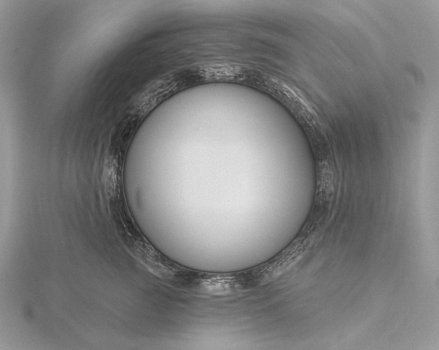 X0000116160761200912071324