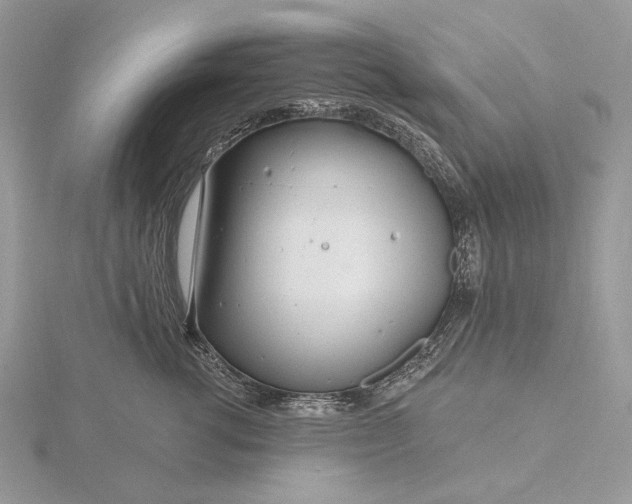 X0000116160762200912071324