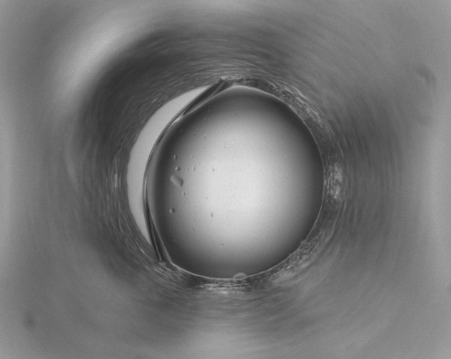 X0000116160763200912071324