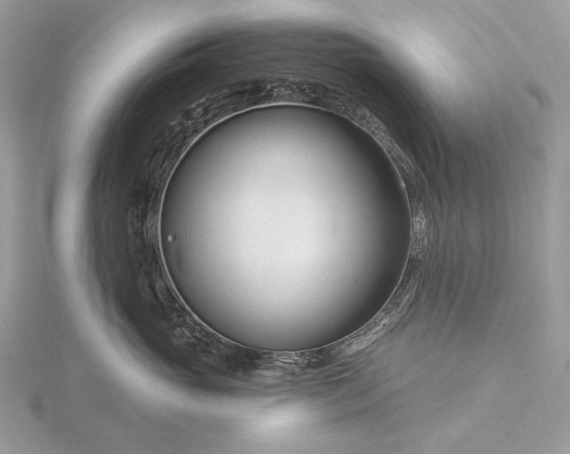 X0000116160765200912071324