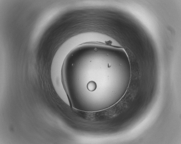 X0000116160766200912071324