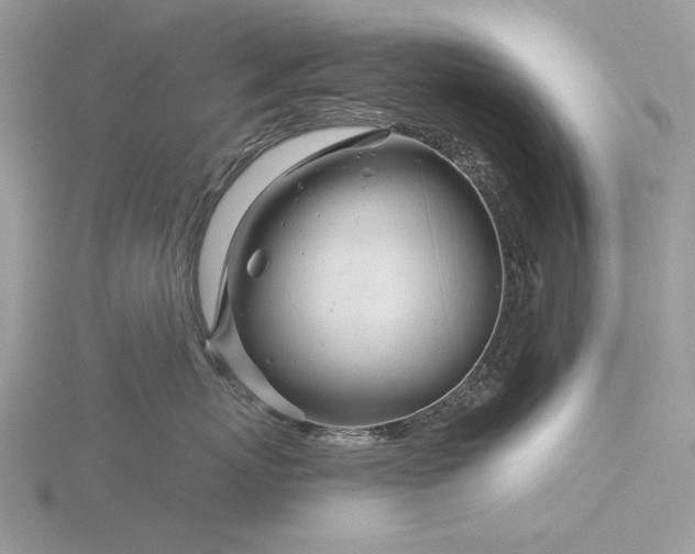 X0000116160767200912071324