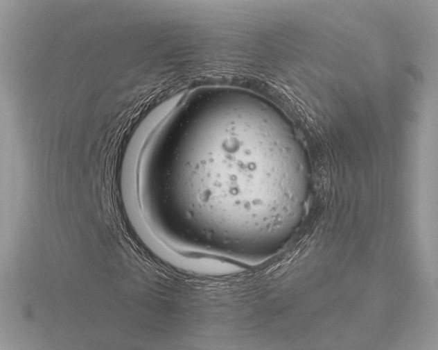 X0000116160769200912071324