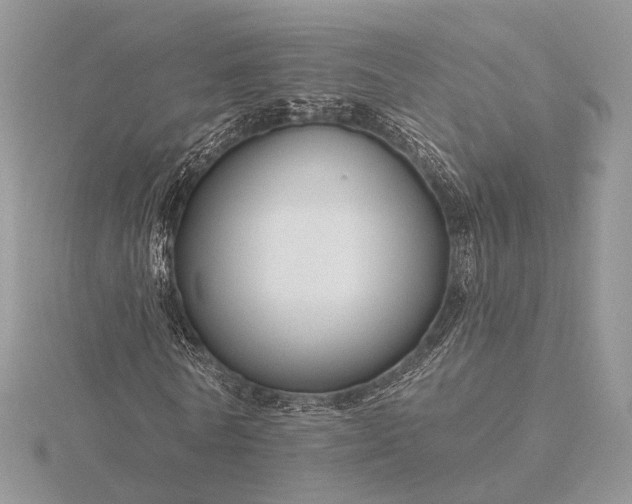 X0000116160770200912071324