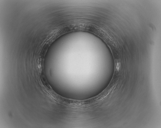 X0000116160771200912071324