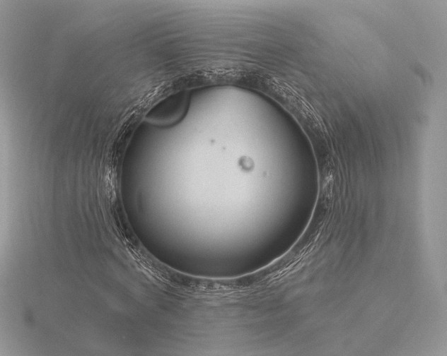 X0000116160772200912071324