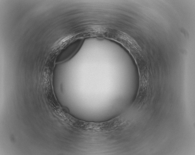 X0000116160773200912071324