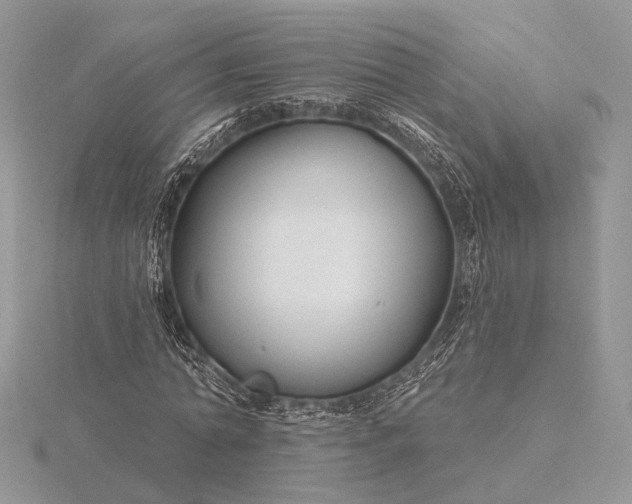 X0000116160774200912071324