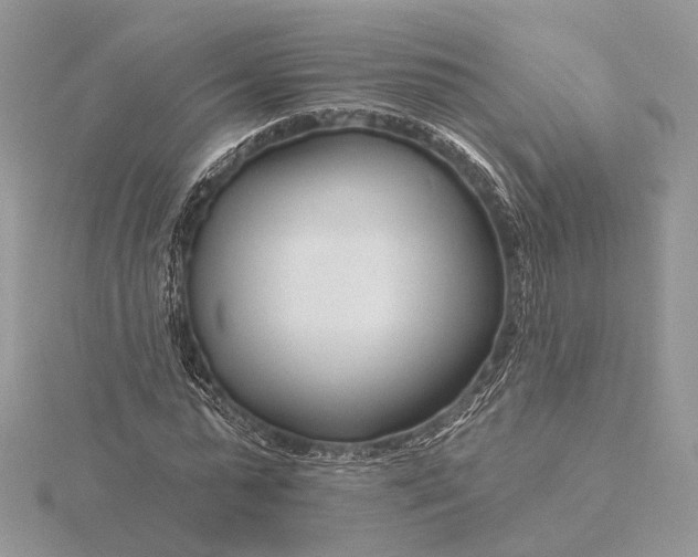 X0000116160775200912071324