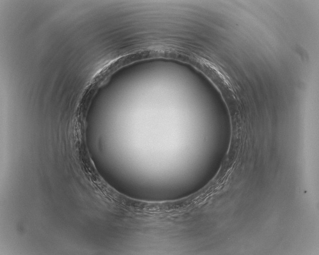 X0000116160776200912071324