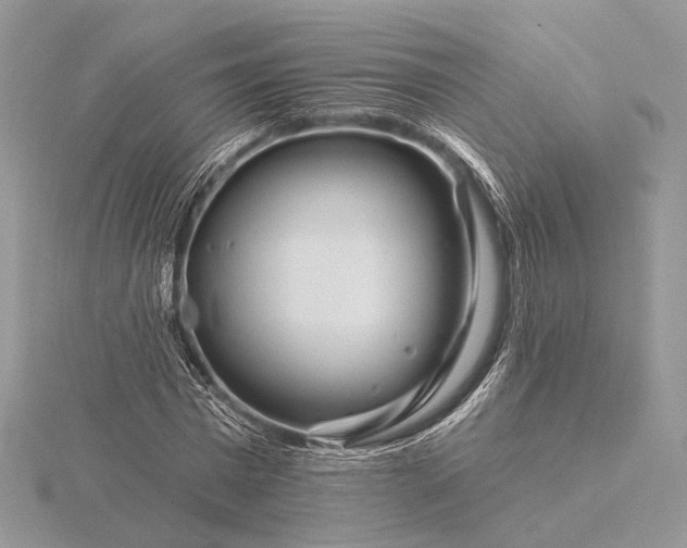 X0000116160777200912071324