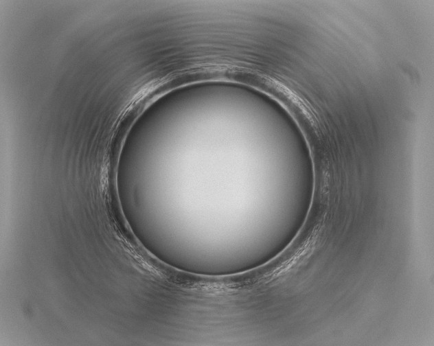 X0000116160778200912071324