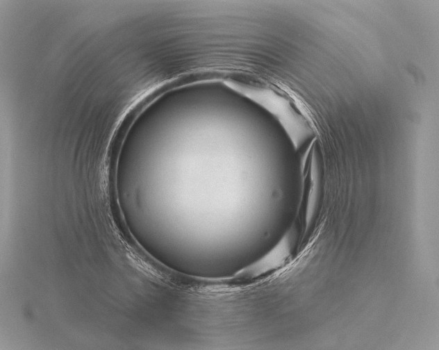 X0000116160779200912071324