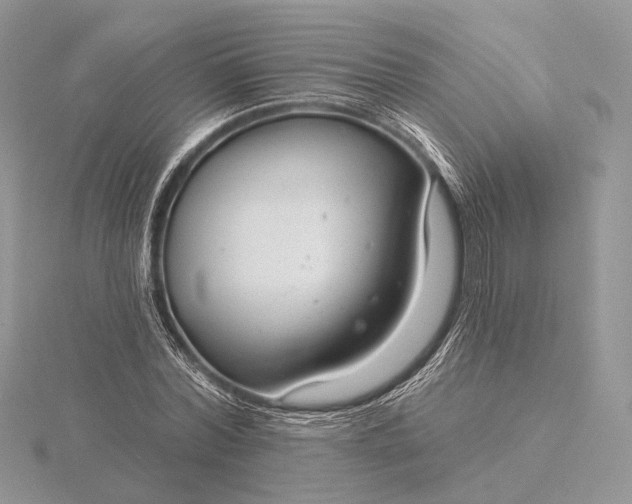 X0000116160780200912071324