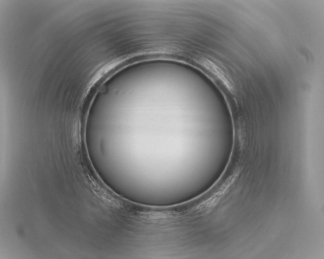 X0000116160781200912071324