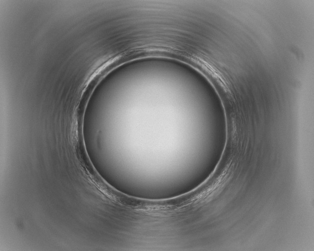 X0000116160782200912071324