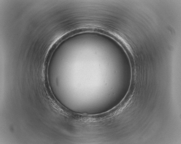 X0000116160783200912071324