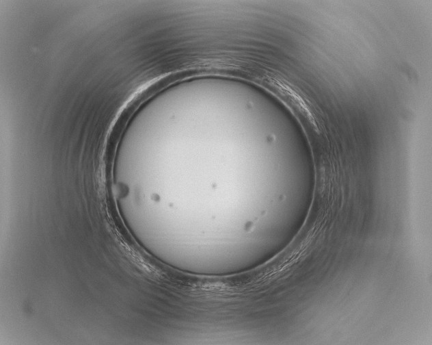 X0000116160784200912071324