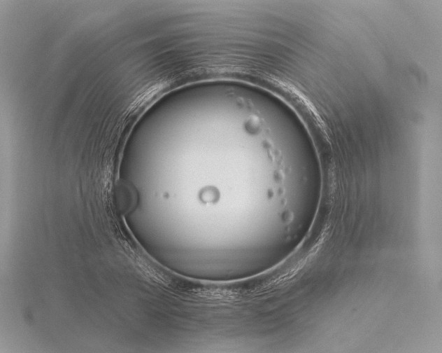 X0000116160785200912071324