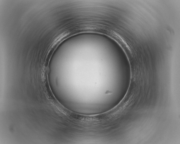 X0000116160786200912071324