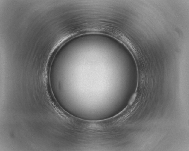 X0000116160787200912071324