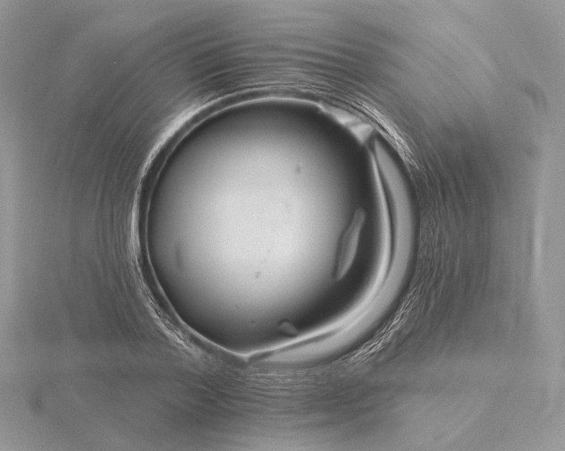 X0000116160788200912071324