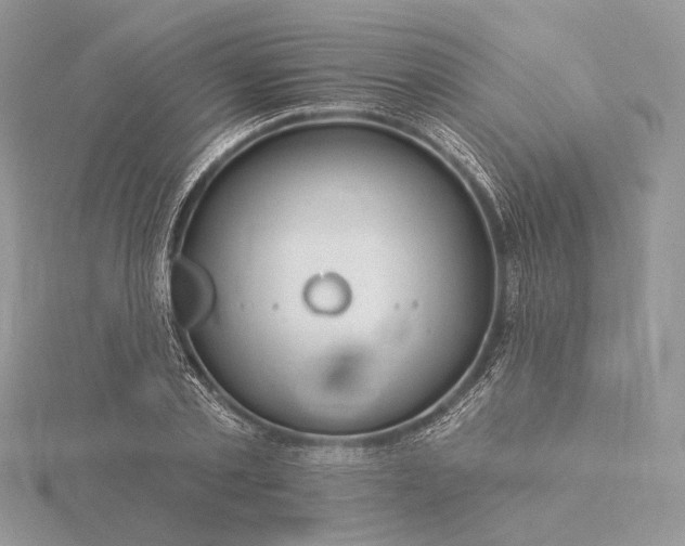 X0000116160789200912071324