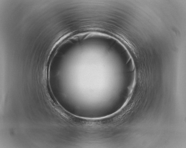 X0000116160790200912071324