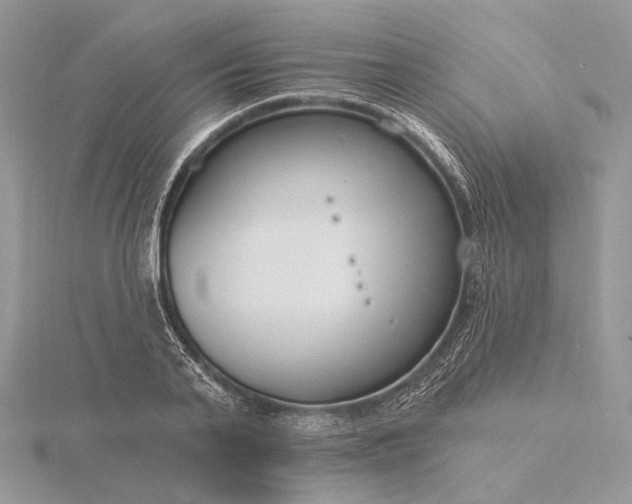 X0000116160791200912071324