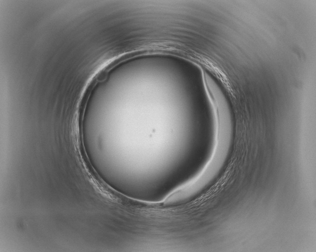 X0000116160792200912071324