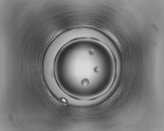 X0000116160793200912071324