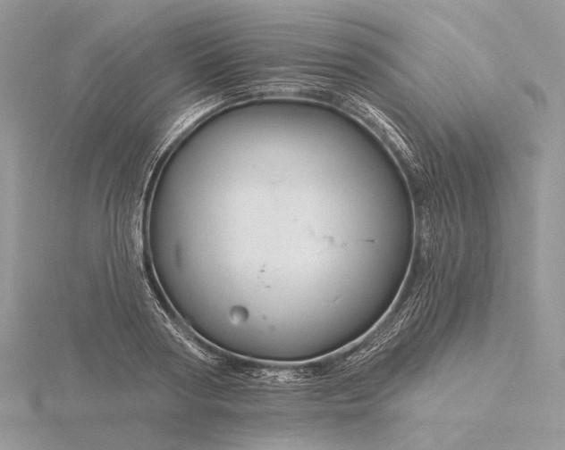 X0000116160794200912071324