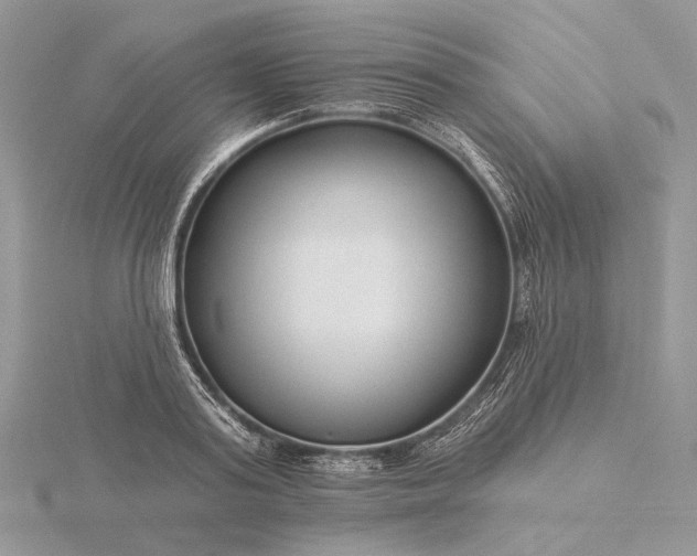 X0000116160795200912071324