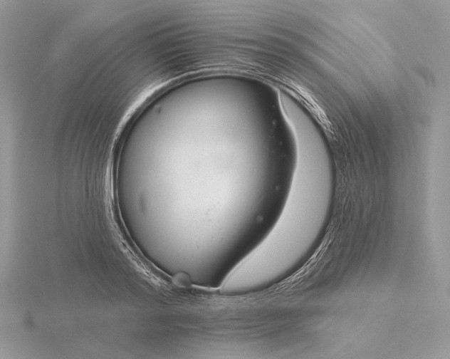 X0000116160796200912071324