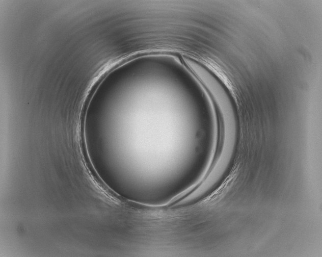 X0000116160797200912071323