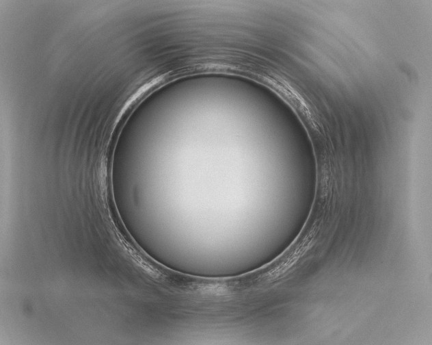 X0000116160798200912071323