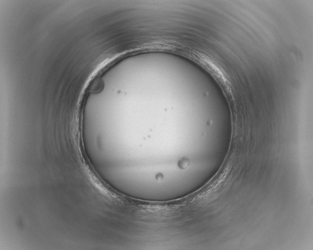 X0000116160800200912071323