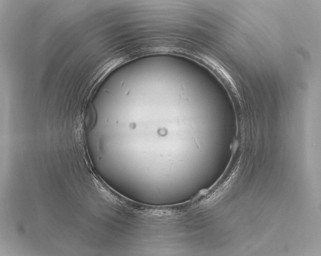 X0000116160801200912071323