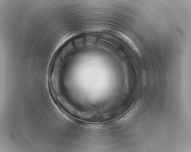 X0000116160802200912071323