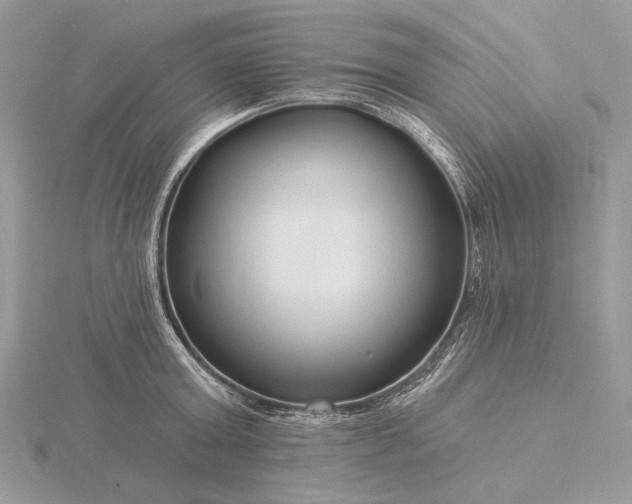 X0000116160803200912071323