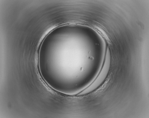 X0000116160804200912071323