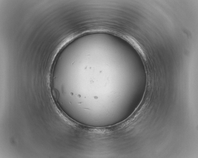 X0000116160805200912071323