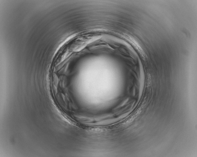 X0000116160806200912071323