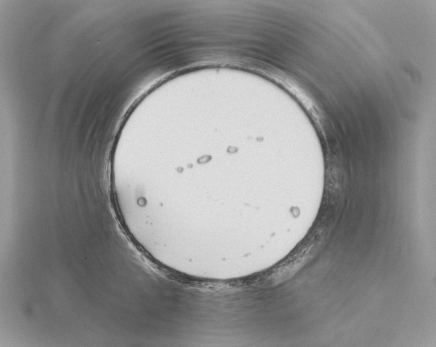 X0000116160807200912071323