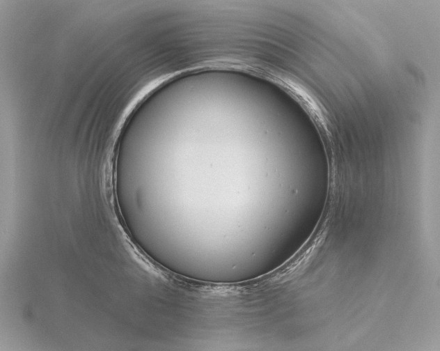 X0000116160808200912071323