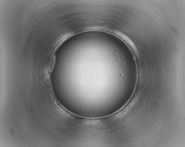 X0000116160809200912071323