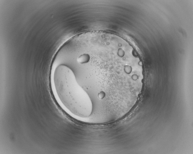 X0000116160810200912071323