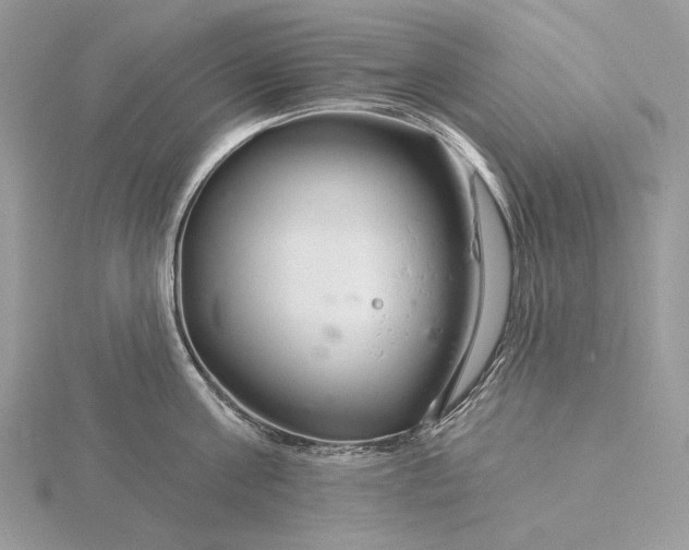 X0000116160811200912071323