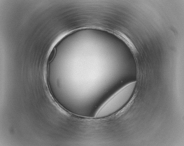 X0000116160812200912071323